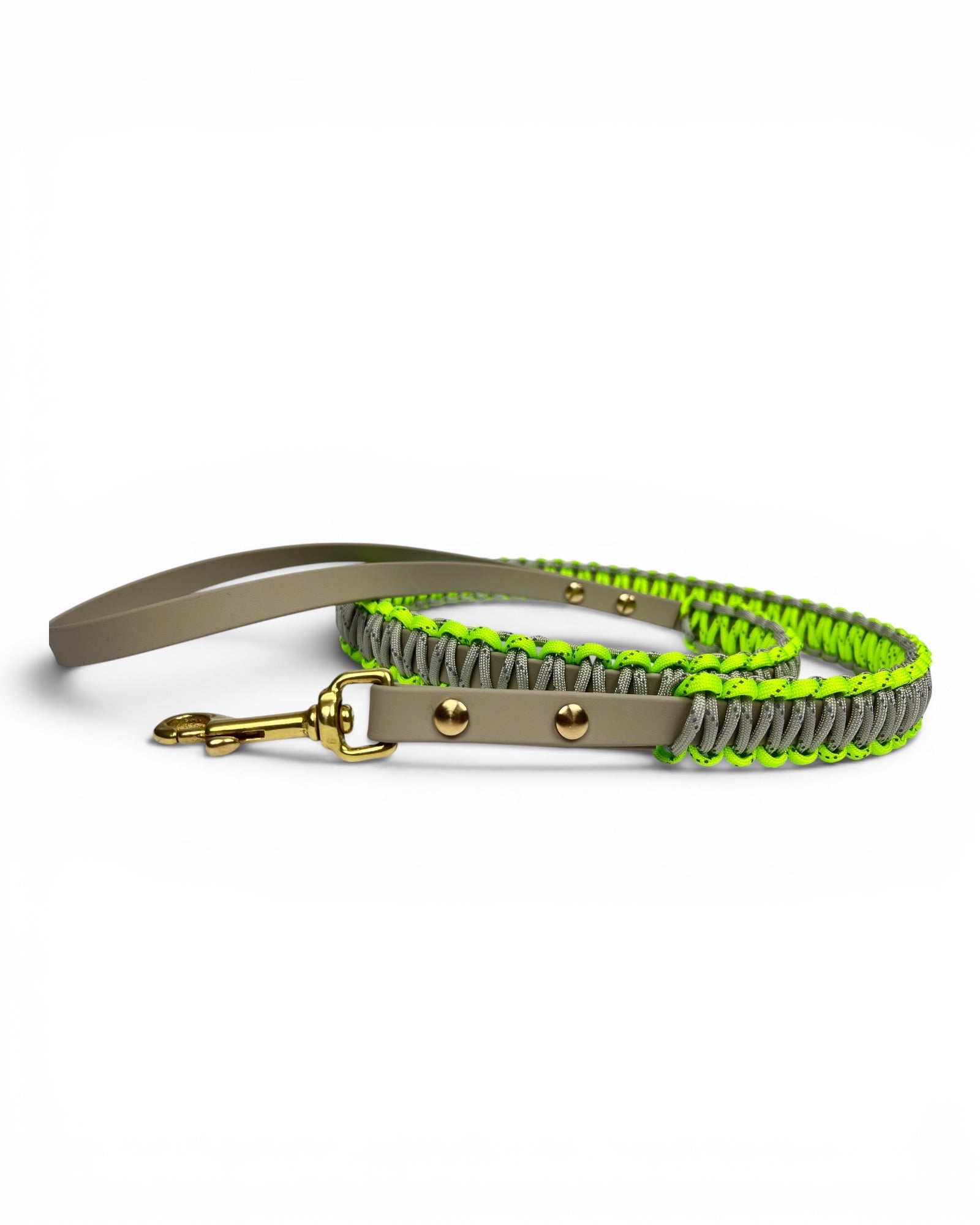 BioThane Hundeleine mit reflektierendem Paracord Beige