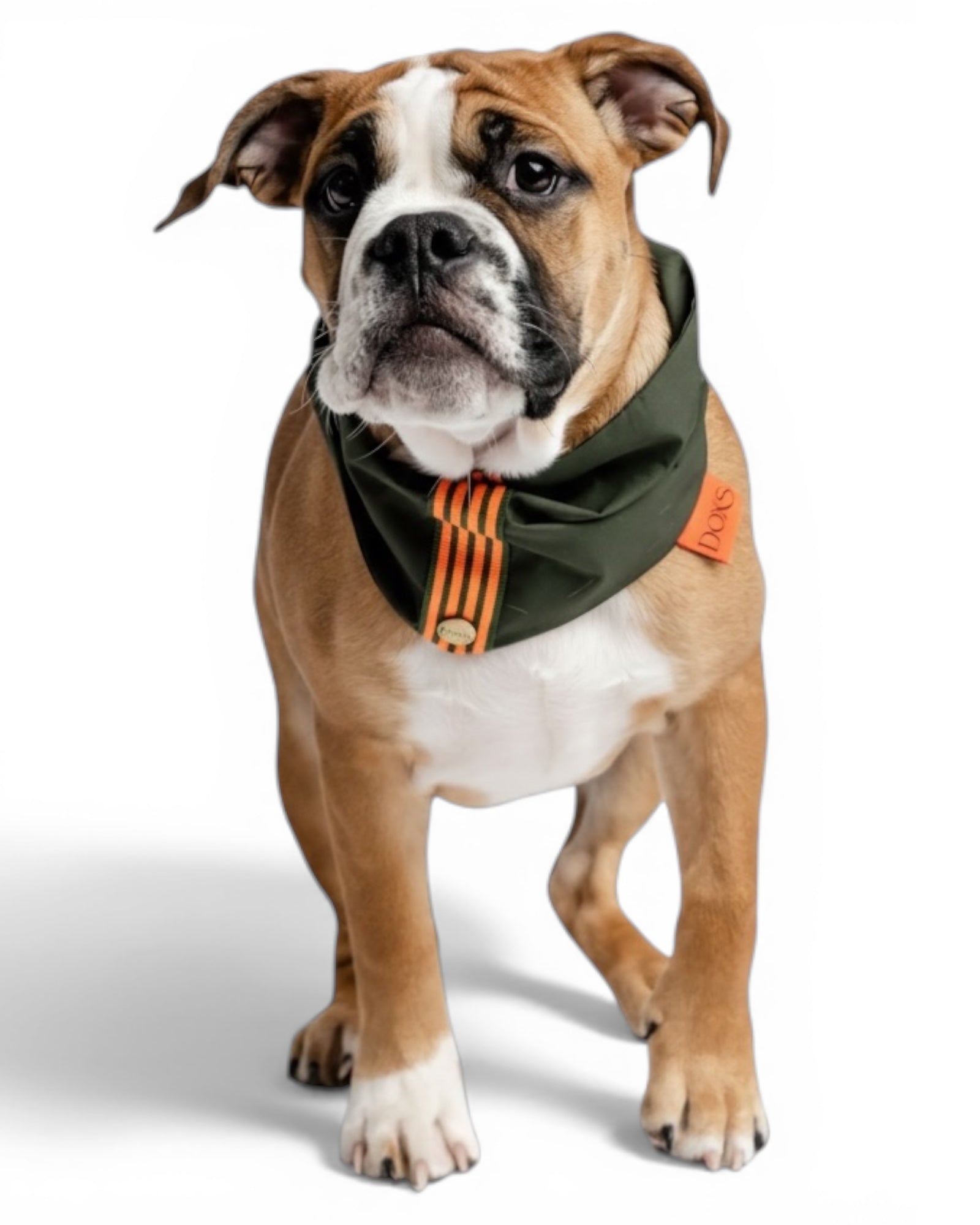 Halstuch klassisch Olive