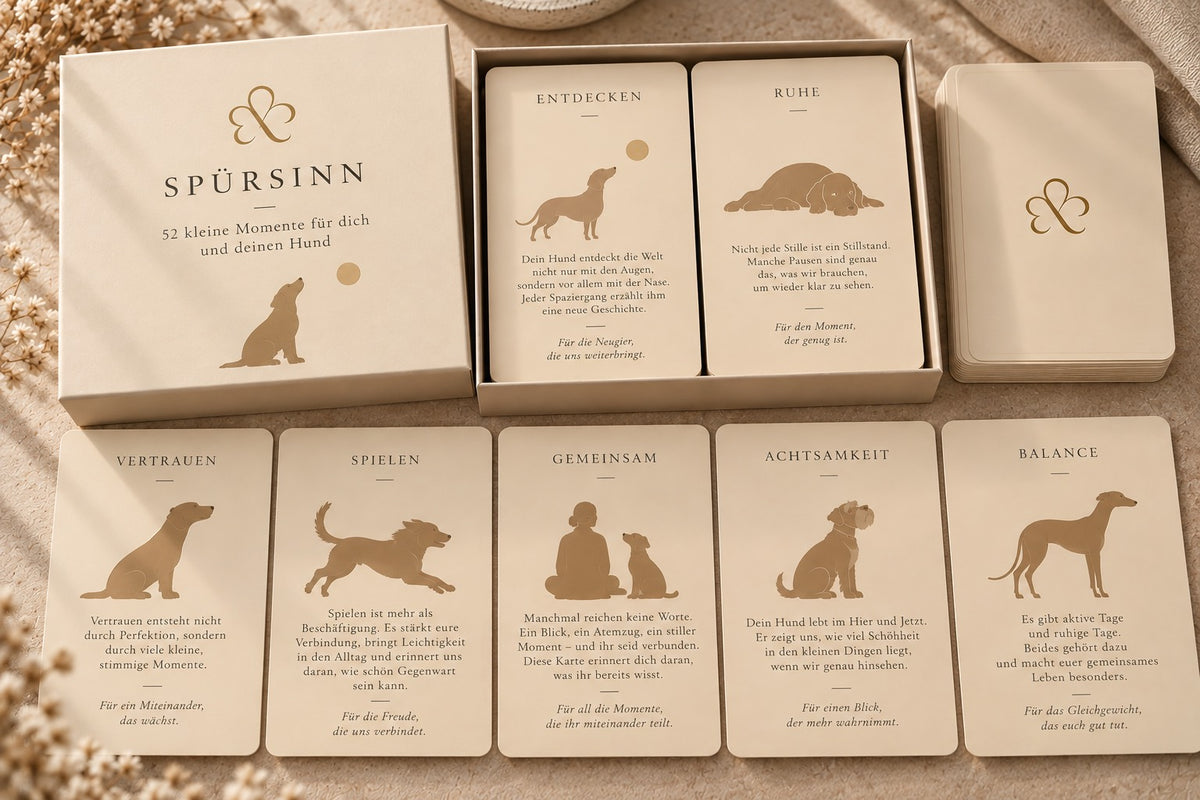 SPÜRSINN cards in their box